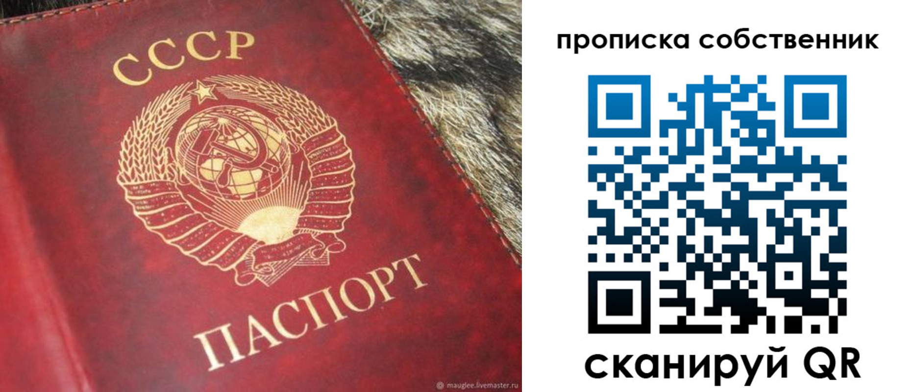 прописка для школы в Челябинске